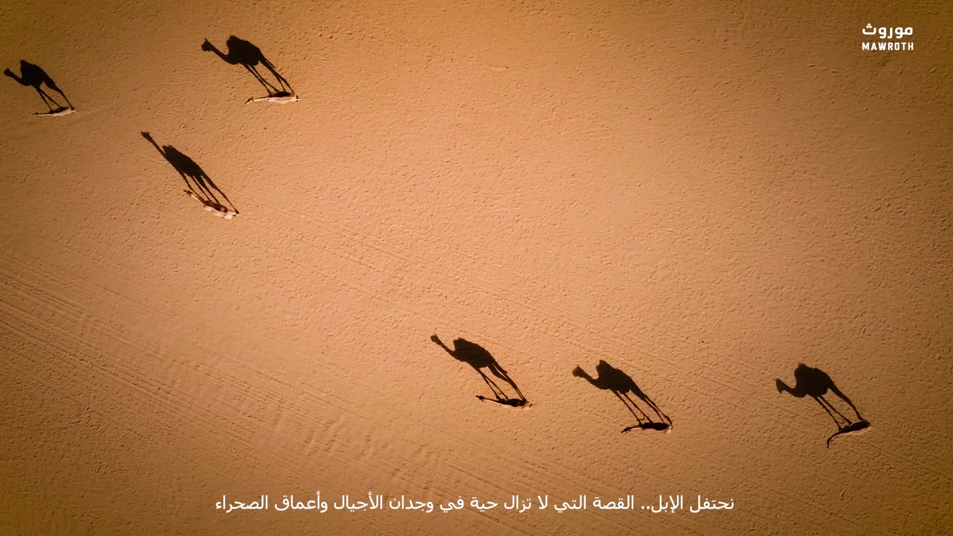Aerial view of a camel caravan casting long shadows across sun-gilded sand dunes