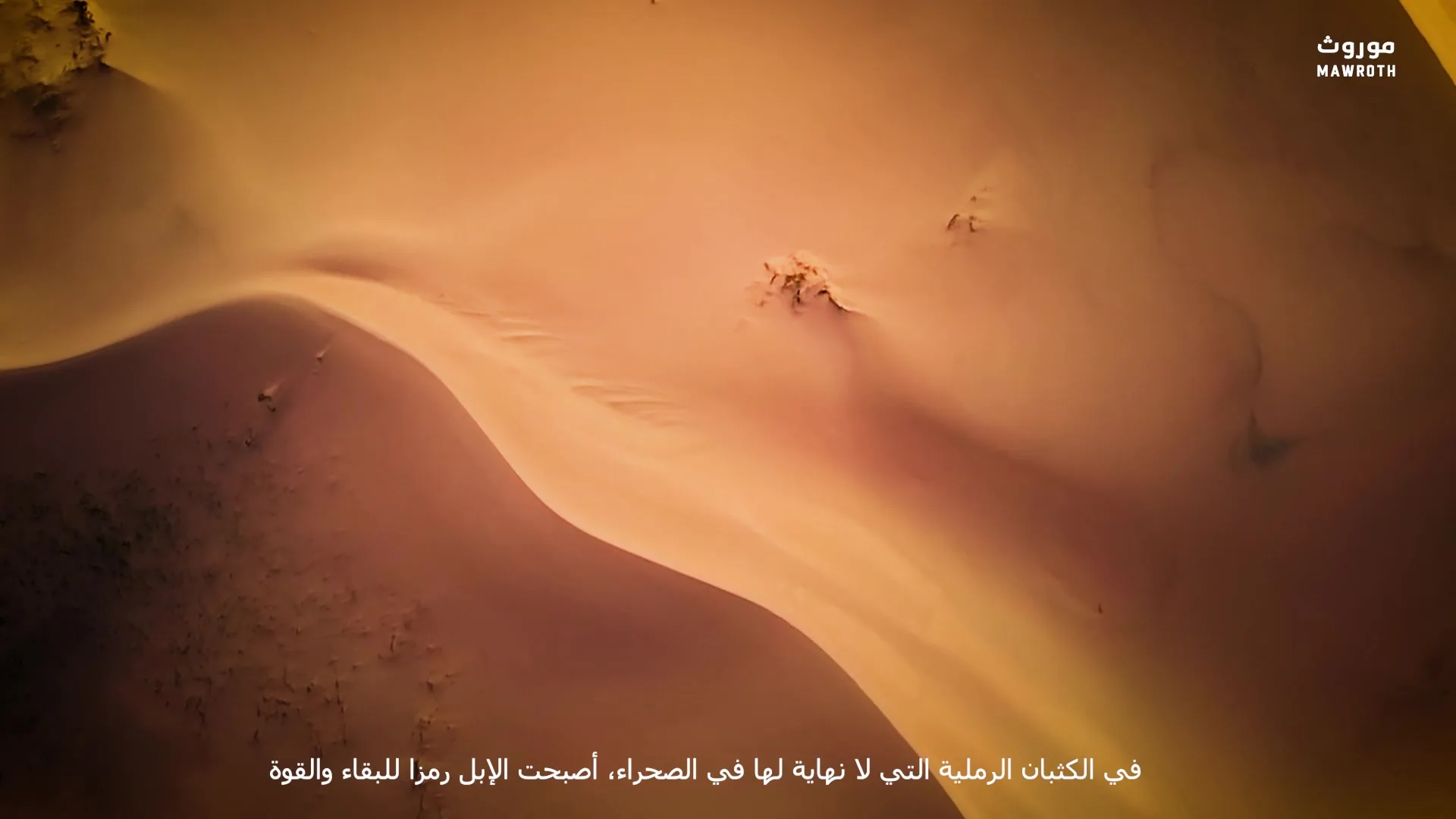Aerial shot of sculpted desert dunes in warm amber and shadow tones