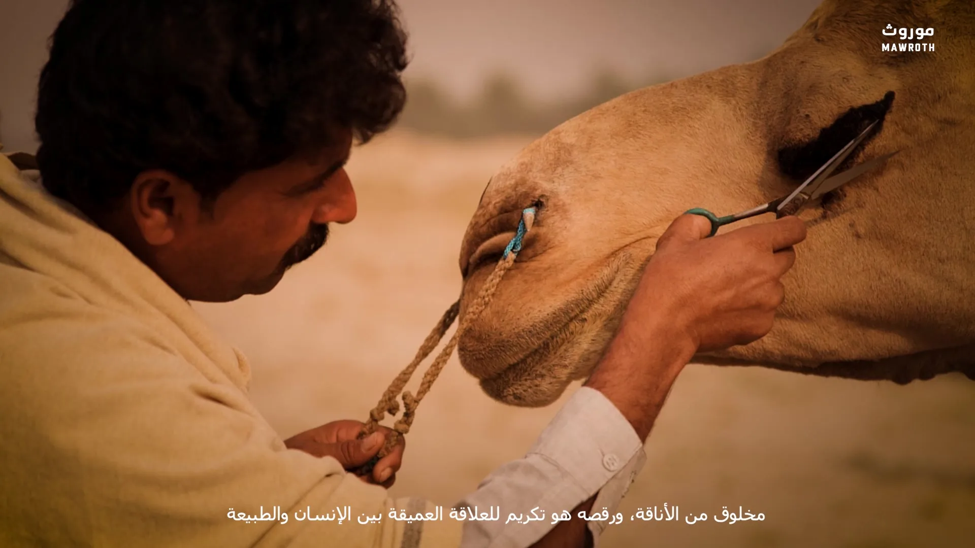 Craftsman engraving a geometric tribal pattern into a camel's neck fur with scissors