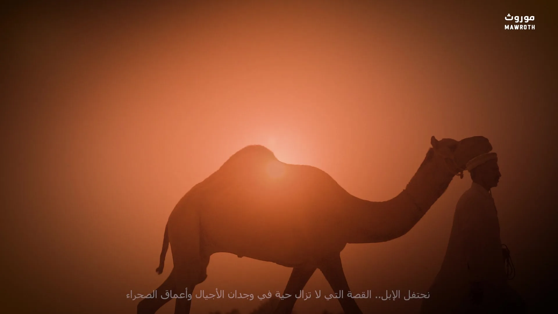 Silhouette of a man leading a camel against a blazing golden sunset in the Arabian desert