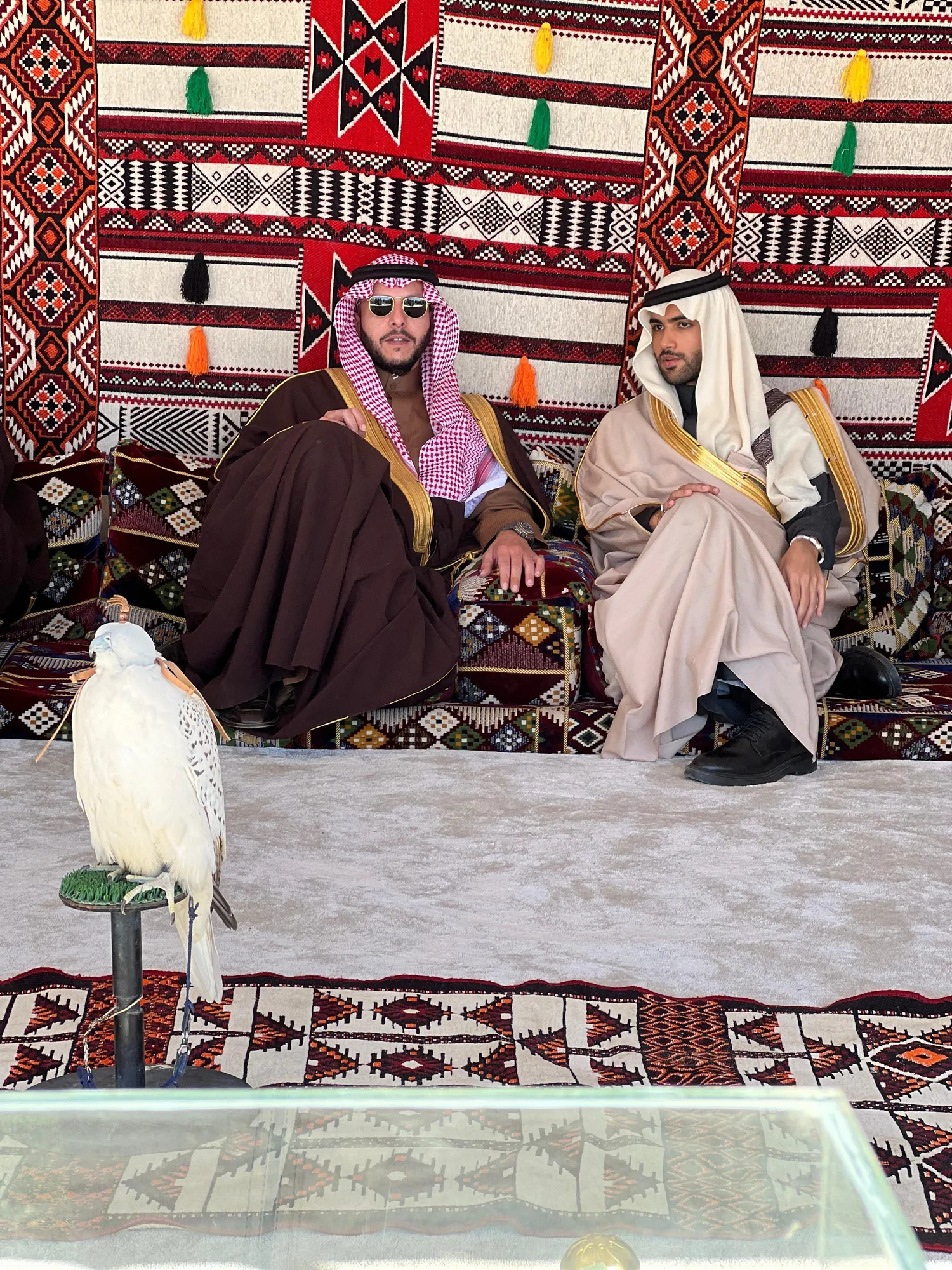 Two Saudi princes in traditional attire seated in a heritage tent with a falcon on a stand before them